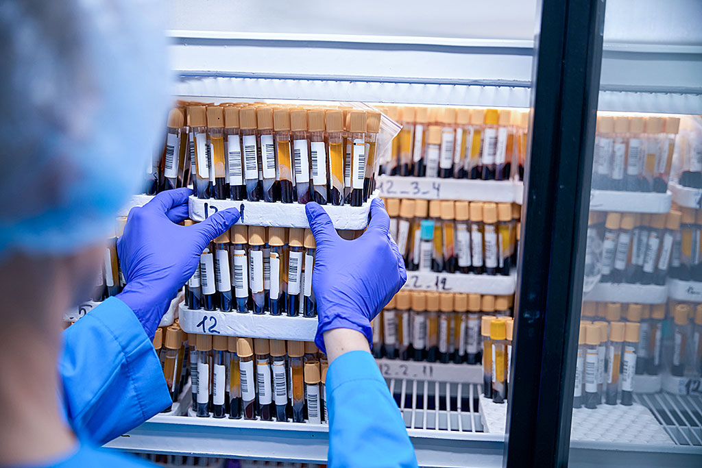 Person in blue lab coat and gloves organizing numbered blood tubes with yellow caps in refrigerated cabinet in clinical lab.
